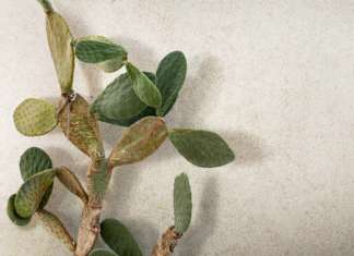Sensi of Casa dolce casa: Matteo Thun per Florim Ceramiche