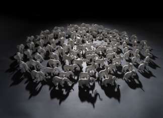 Monkey 47: “Can creativity save animals’ lives?” ©Richard Gooding