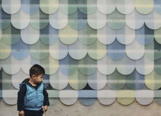 Colour Shingle House