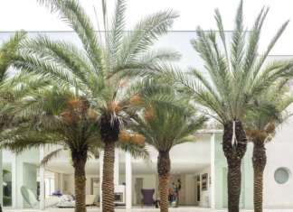 Verde, trasparenze e panorami suggestivi targati Fernanda Marques