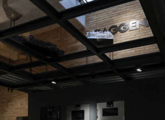 Leda e il Cigno Nero