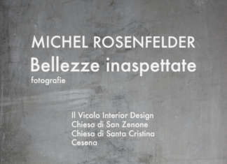 Michel Rosenfelder. Bellezze inaspettate