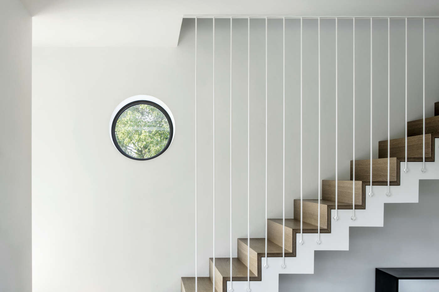 asa studio albanese