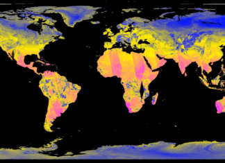 EARTH BITS – Sensing the Planetary