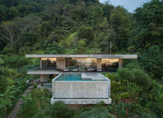 Formafatal in Costa Rica: la legge della giungla giungla formafatal