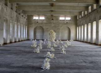 Cracking Art. La natura che non c’era la natura che non c'era