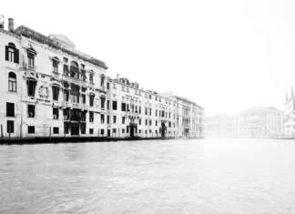 Think Tank (Online and On-site) Throwaway Series 1