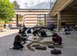 Botanica Temporanea, l’arte dei giardini invisibili