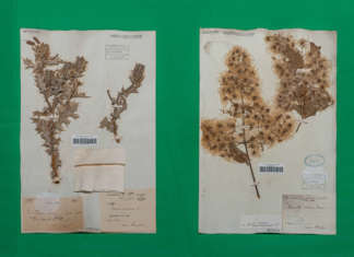 CAMBIO FormaFantasma al Centro Pecci di Prato