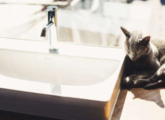 The Bay Window Tower House, piccola architettura a Tokyo