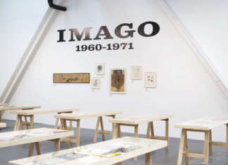 “Imago”, 1960 – 1971