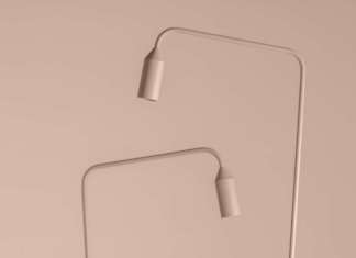 Il delicato pastello Rose Ballerina