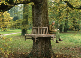 Come in un rigoglioso giardino inglese