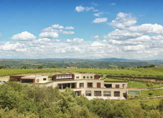 Vallepicciola, cantina organica nel Chianti Classico vallepicciola chianti