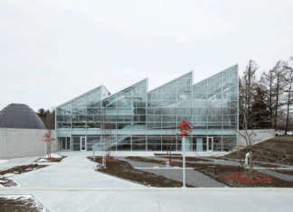 Metamorphosis of the Insectarium