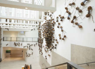 Casa Tomada: al Rijksmuseum le settecento formiche di Rafael Gomezbarros