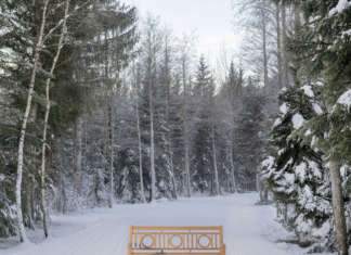 Le stagioni di Tectona Paris: l’inverno