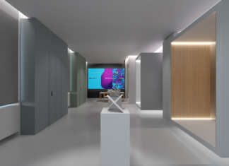 Doorway to Your Future. La silenziosa lezione degli alberi