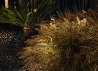 Foglia luminosa per outdoor suggestivi