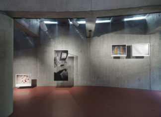 What Mad Pursuit. Intervista a Francesco Zanot