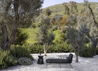 Dall’ombra alla luce: nuovo elogio all’oscurità