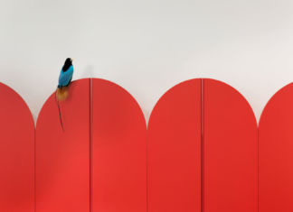 La Macchina Studio progetta uno scrigno fiabesco nel quartiere Prati a Roma