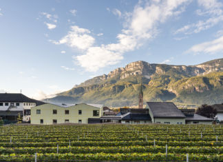 MoDusArchitects progetta la Tartan School in Val d’Adige