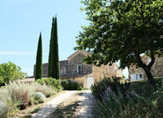 Les Davids: vino, architettura e paesaggio les davids