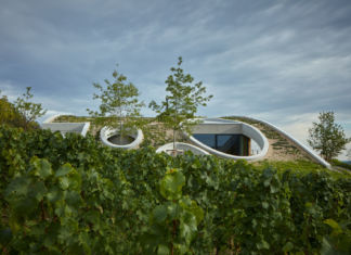 Cantina Gurdau, un’onda verde nel paesaggio gurdau