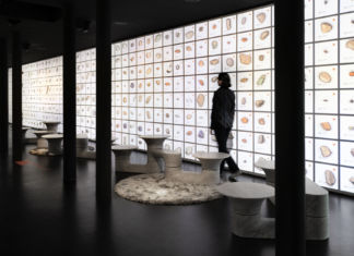 Le proposte disegnate da atelier oï per NEUTRA