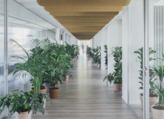 A Milano i nuovi uffici RSM by studio elementare