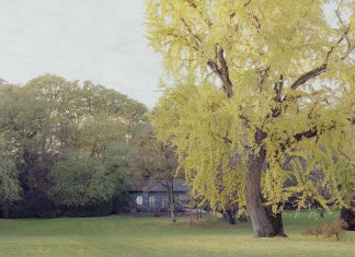 La valorizzazione del giardino storico di Villa Maffei-Sigurtà
