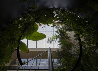 Palazzo MC diventa un ecosistema indoor