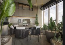 I cactus e la pietra naturale