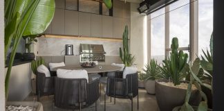 I cactus e la pietra naturale