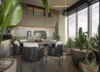 I cactus e la pietra naturale