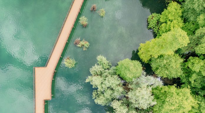 La nuova “Passerella di Sarnico” attraversa il parco dei Taxodi