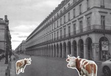 La Fondation Cartier pour l’art contemporain presenta “Animaux dans la Ville”