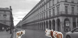 La Fondation Cartier pour l’art contemporain presenta “Animaux dans la Ville”