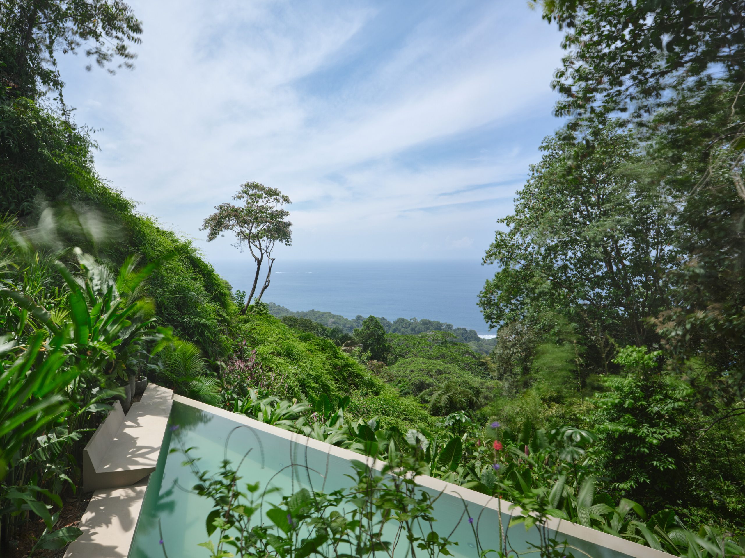 studio house formafatal