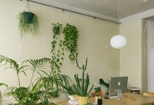 Lo Studiolo di Angelo Renna