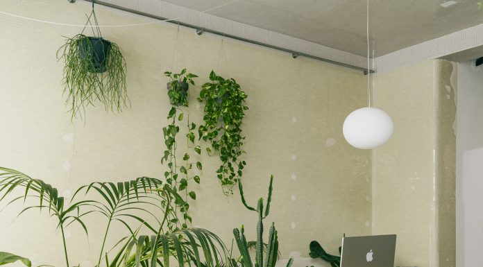 Lo Studiolo di Angelo Renna