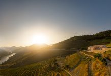 Quinta de Adorigo, nuova winery lungo il Douro Quinta de Adorigo