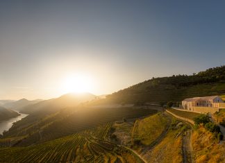 Quinta de Adorigo, nuova winery lungo il Douro Quinta de Adorigo