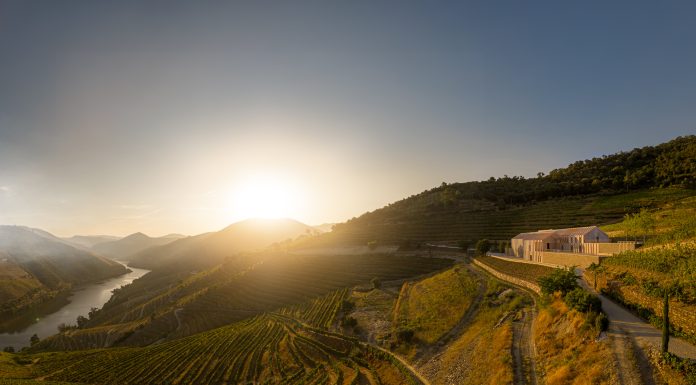 Quinta de Adorigo, nuova winery lungo il Douro Quinta de Adorigo