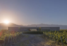 Strazik House, linea abitata tra vigneti e Ande strazik house