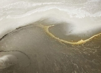 Materia in libertà: DEGA ART tra design e sperimentazione artistica