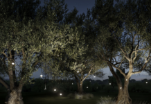 Luce e paesaggio in armonia, come una melodia silenziosa