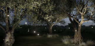 Luce e paesaggio in armonia, come una melodia silenziosa