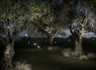 Luce e paesaggio in armonia, come una melodia silenziosa